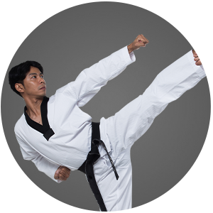 Martial Arts Blue Wave Taekwondo Adult Programs